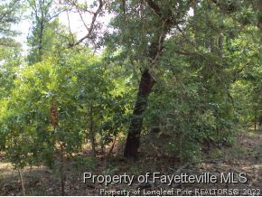 1025 Line Road Cameron, NC 28326 - Photo 7 of 8 a view of outdoor space