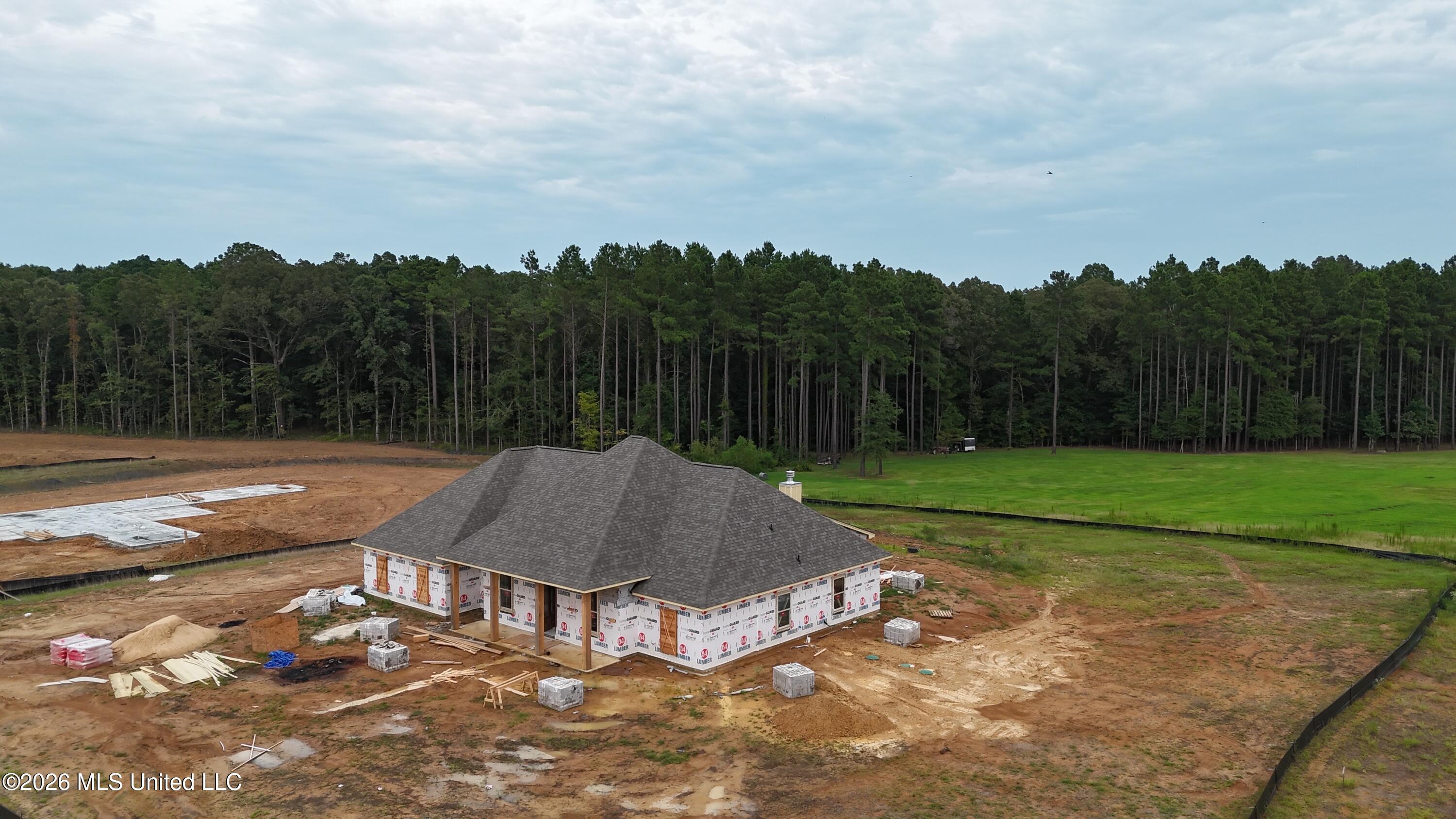 505 First Oak Brandon, MS 39047 - Photo 2 of 7 dji_fly_20260731_191200_0085_17855440237