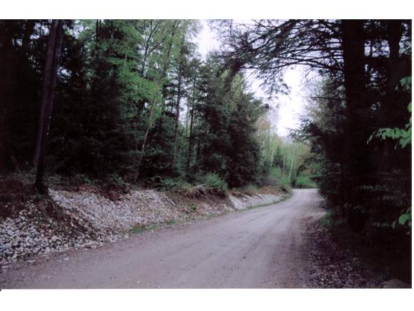 Clark Hill Road West Rutland, VT 05777 - Photo 1 of 1