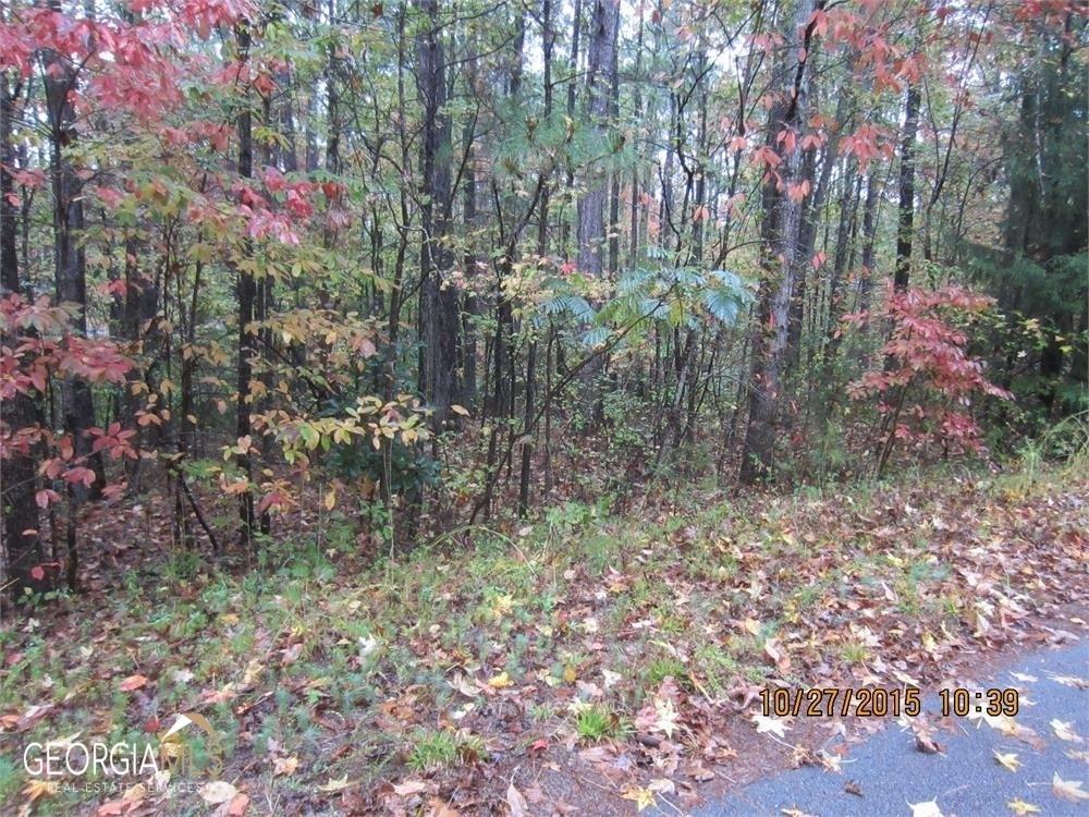 2313 Larchmont Villa Rica Ga