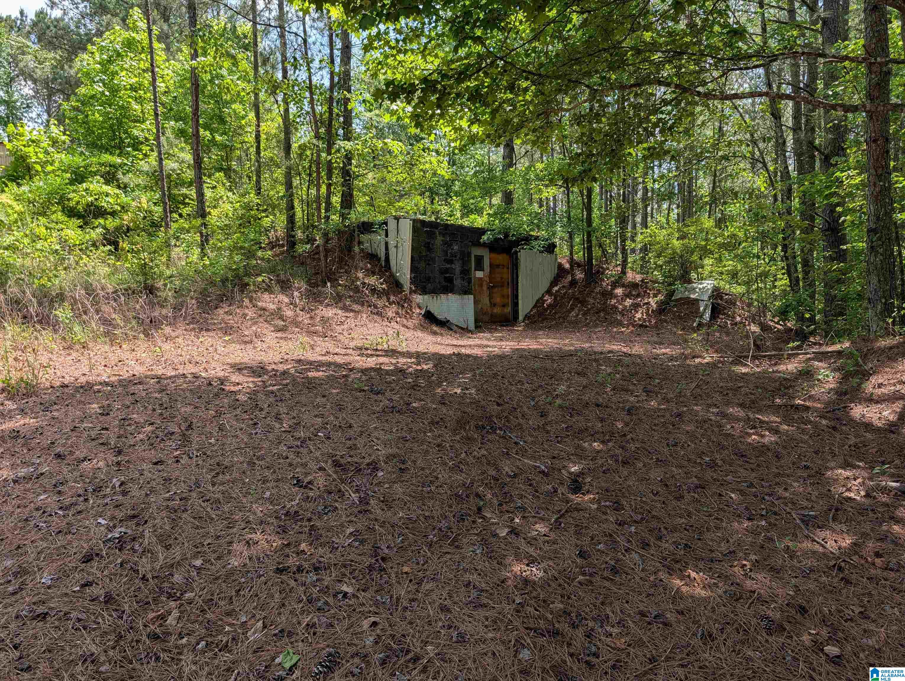4561 Cook Springs Road Pell City, AL 35125 - Photo 19 of 20