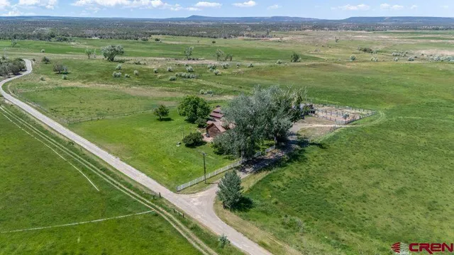 a view of a field with an ocean