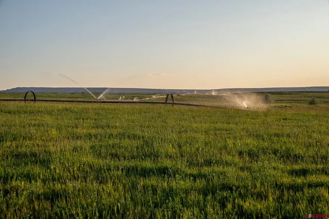 a view of a big yard