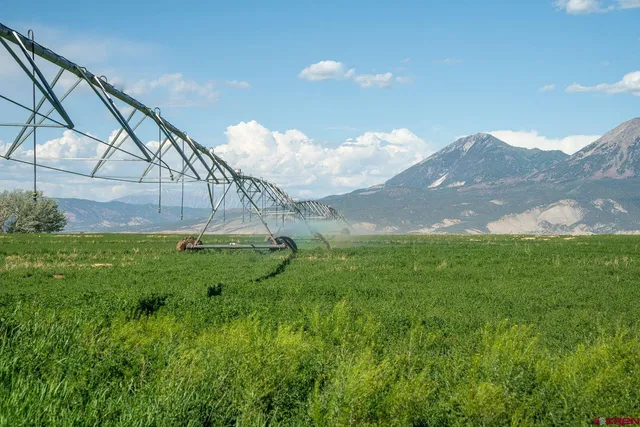 a view of an ocean and beach