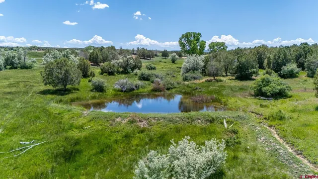 $6,850,000 | 4369 Cattle Drive, Crawford, CO 81415