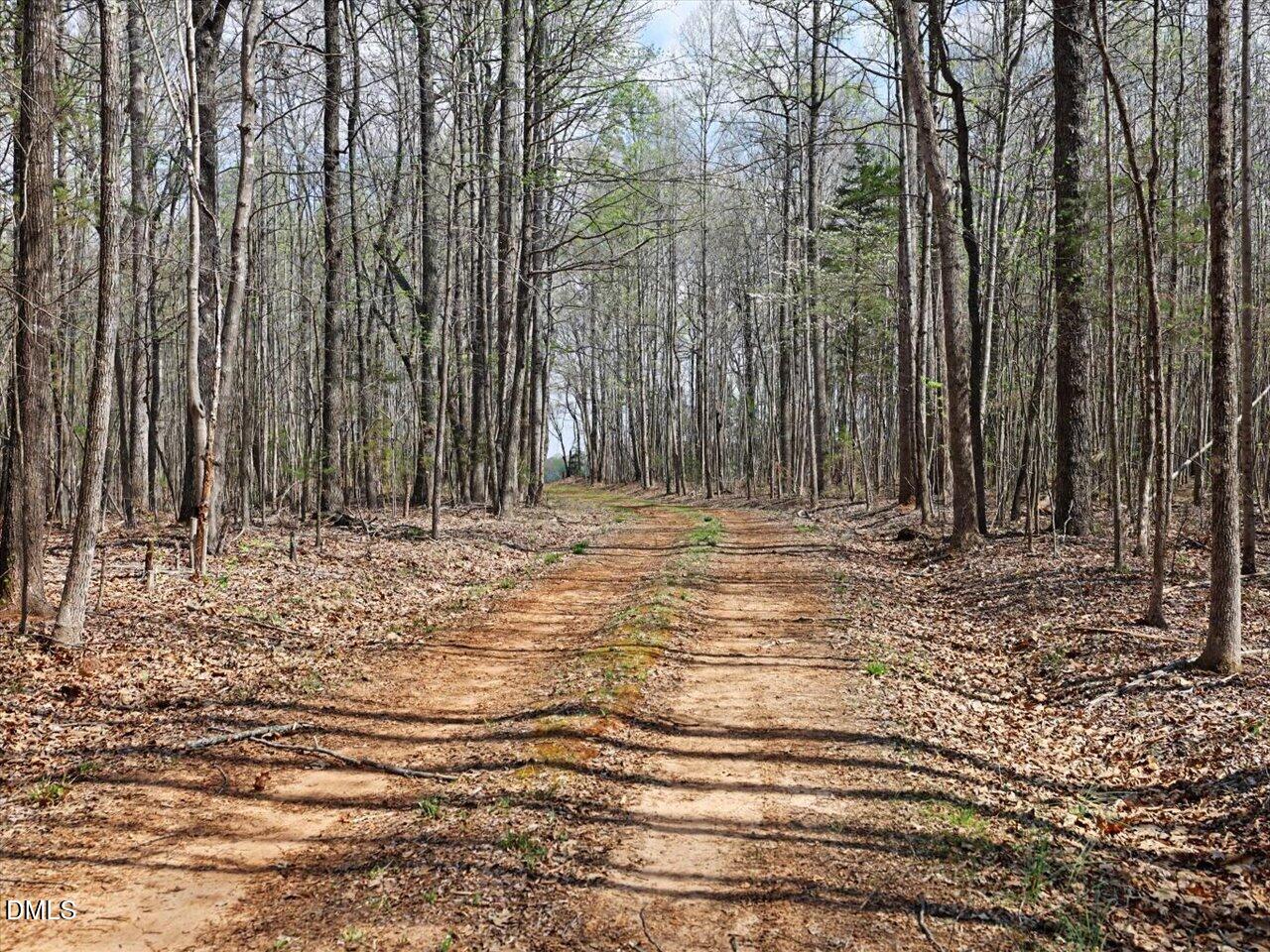 7793 Ridgeville Road Leasburg, NC 27291 - Photo 46 of 91