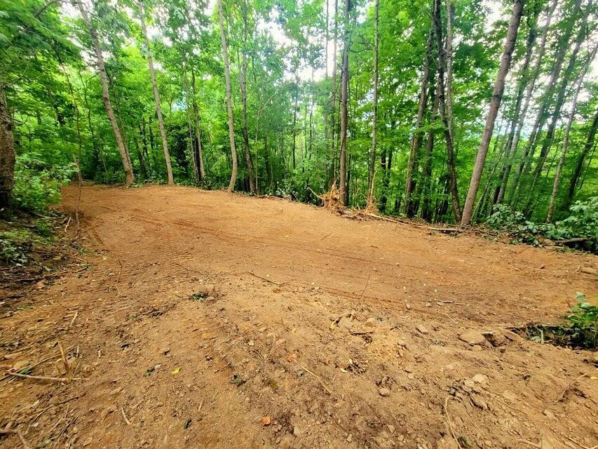 Lot 8 A/8b Dunlukin Dr Spring Spring City, TN 37381 - Photo 11 of 27 11