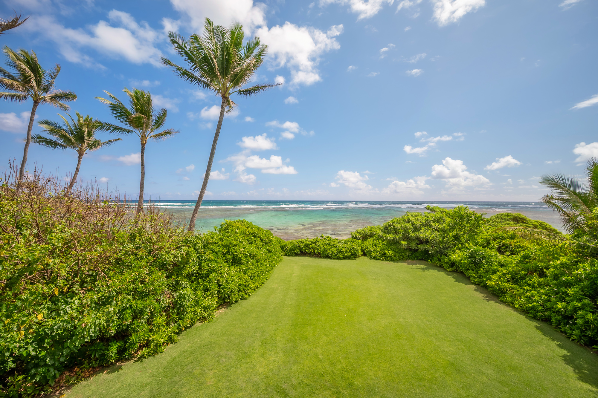 5070 Kukuna Road Kilauea, HI 96754 - Photo 25 of 29 a view of a garden with a flower in a garden