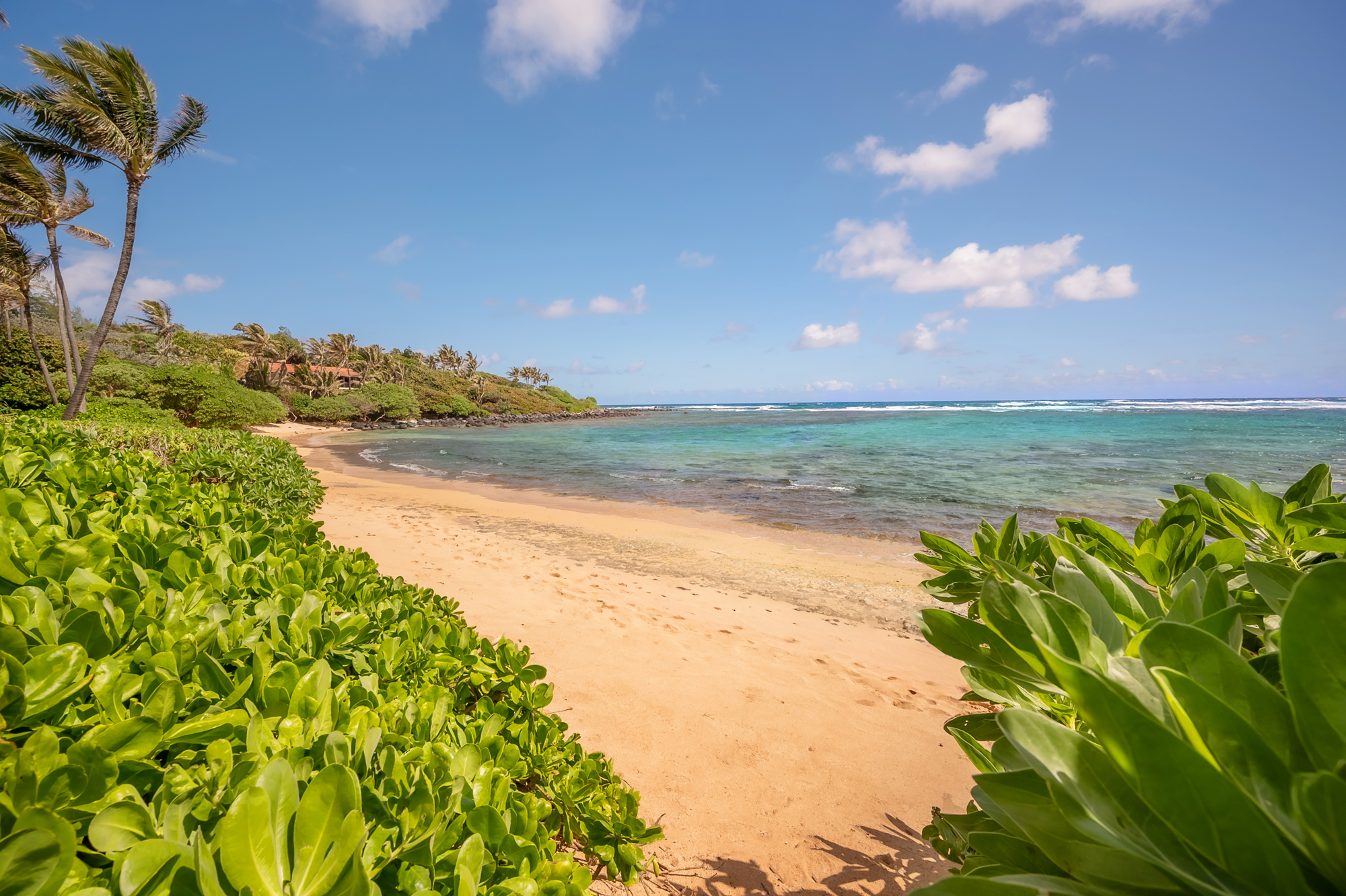 5070 Kukuna Road Kilauea, HI 96754 - Photo 26 of 29 a view of an ocean and beach