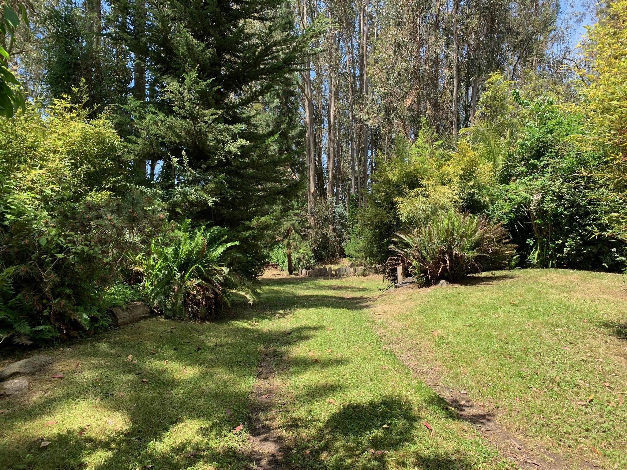 579 Bayside Road Arcata, CA 95521 - Photo 16 of 32 IMG_0694