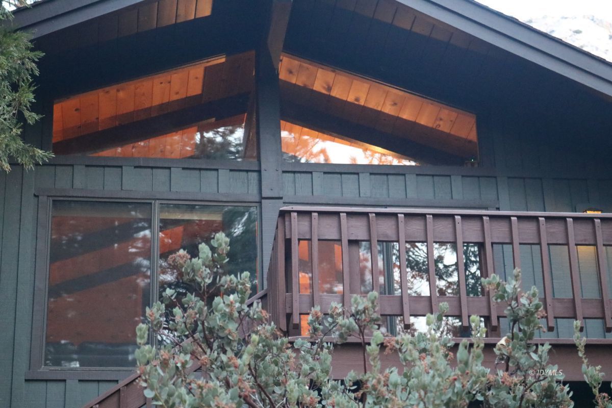 24796 Fern Valley Road Idyllwild, CA 92549 - Photo 3 of 20 a view of a backyard with plants