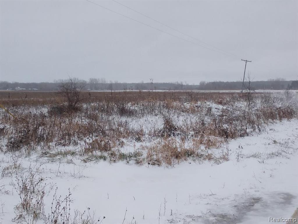 13878 Fisher Road Yale, MI 48097 - Photo 4 of 4
