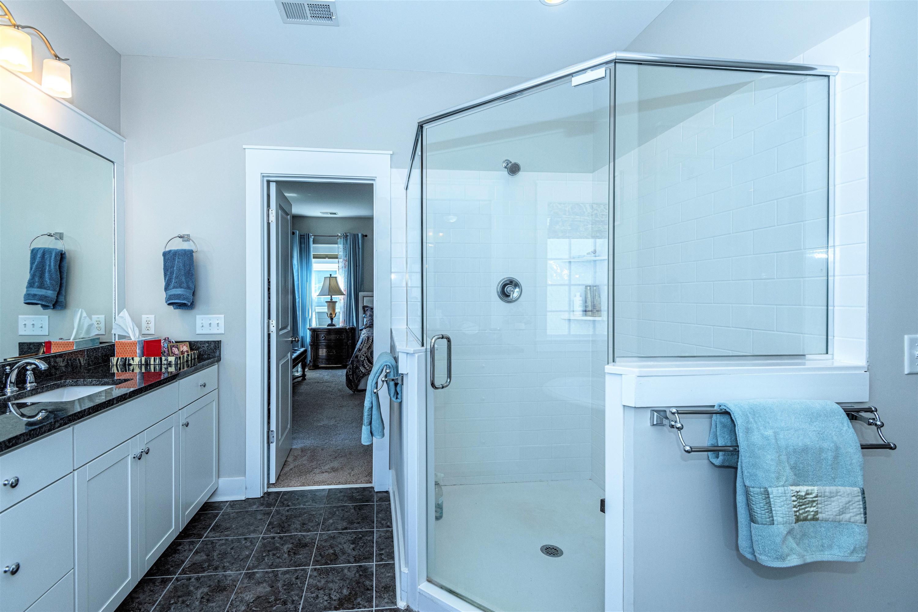 248 Ribbon Road Summerville, SC 29483 - Photo 22 of 46 Master Bath walk in shower