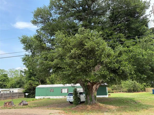 a view of a yard with plants and trees