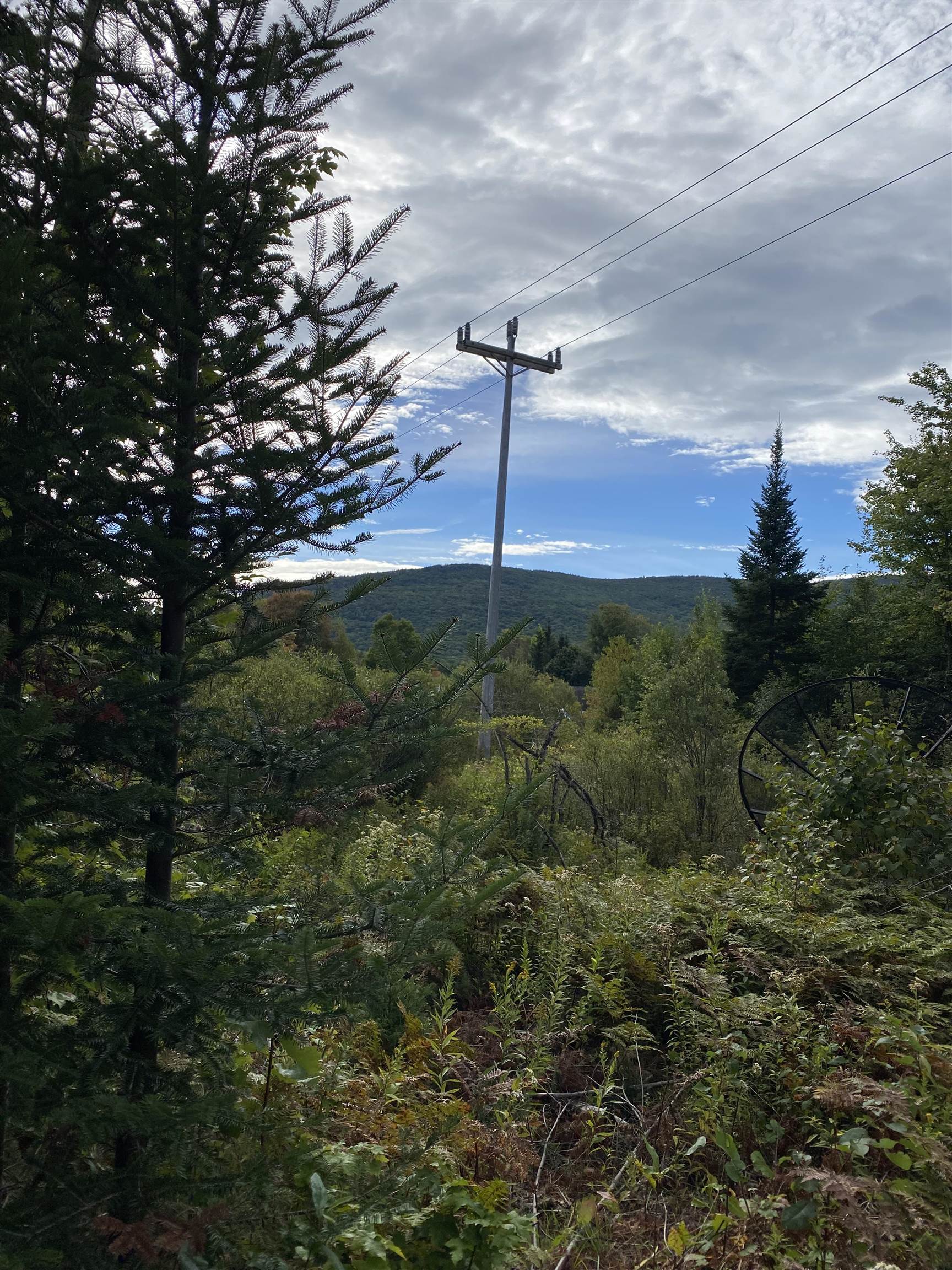 197 Shunpike Road Mount Holly, VT 05758 - Photo 18 of 19 Gallery Image 18