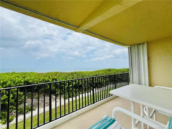 a view of a park with palm trees