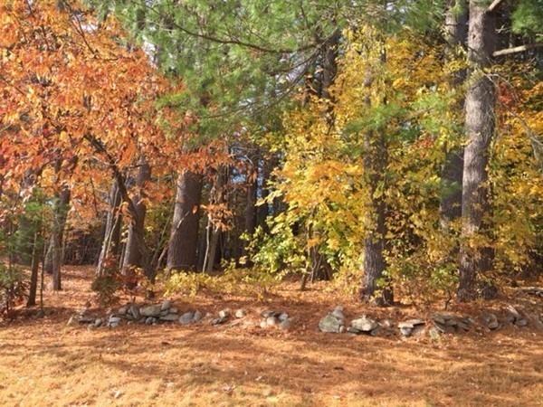 14 Ledgewood Road Framingham, MA 01701 - Photo 19 of 19 Gallery Image 19