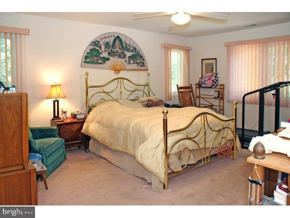 1229 Ridge Avenue Manahawkin, NJ 08050 - Photo 17 of 24 Gallery Image 17