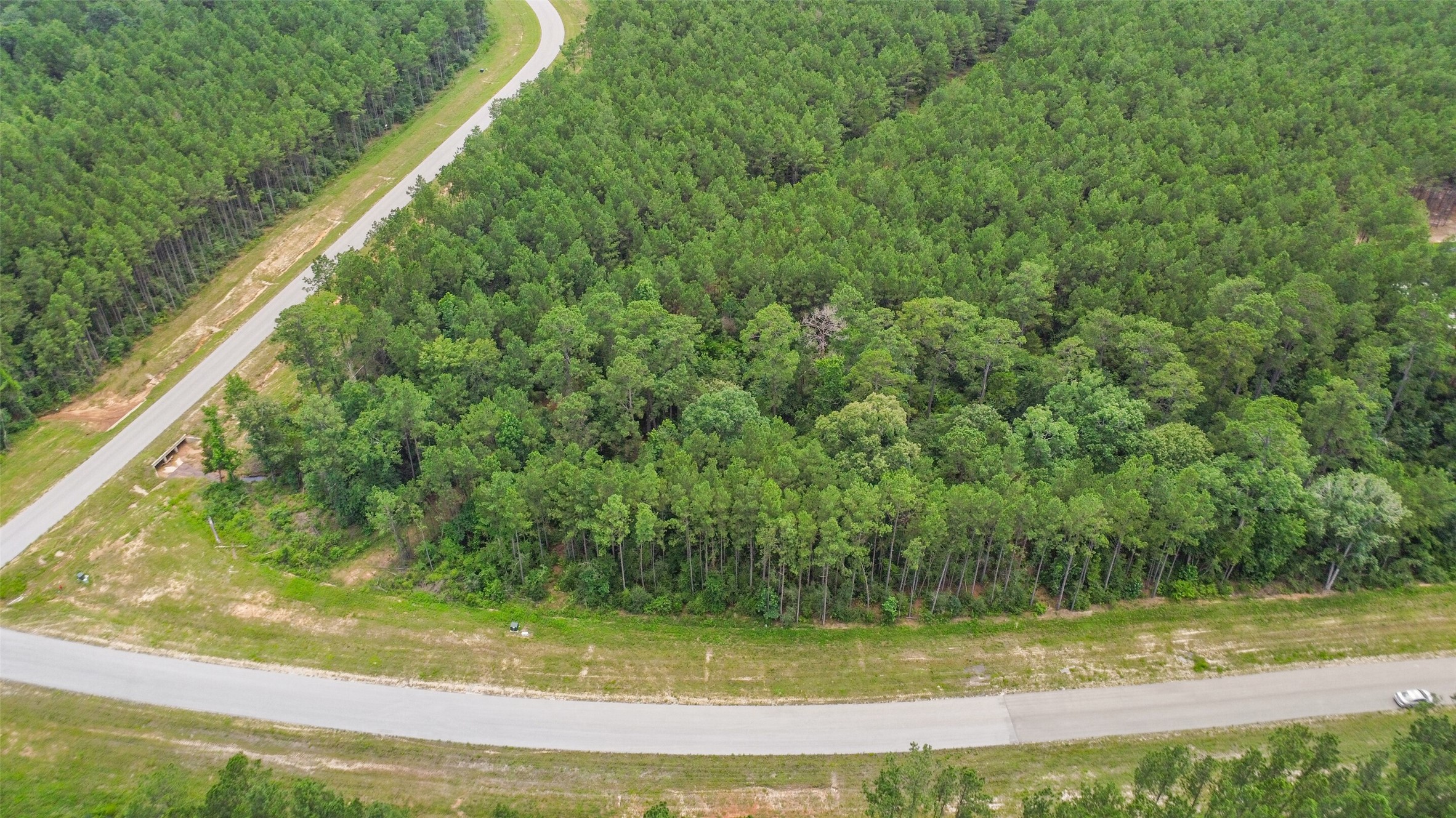 15832 Ridge Oak Road Willis, TX 77378 - Photo 4 of 14