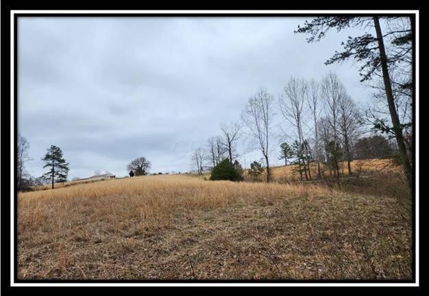 0 Metheny Fairplay Road, Unit TRACT 4) Vinton, OH 45686 - Photo 34 of 44 image034