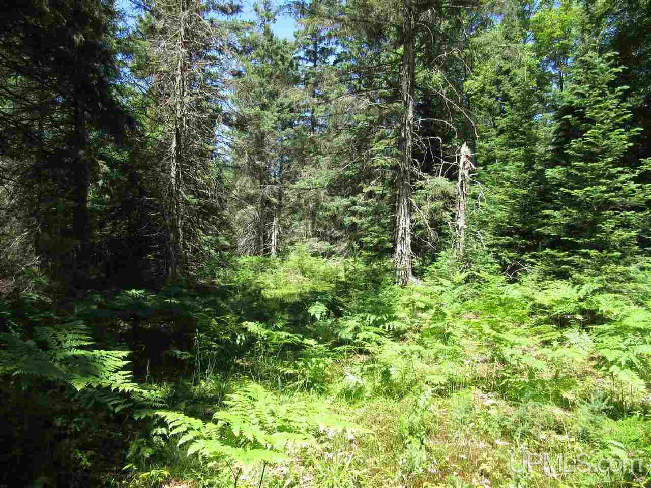 Tbd Usfs Road Munising, MI 49895 - Photo 5 of 14