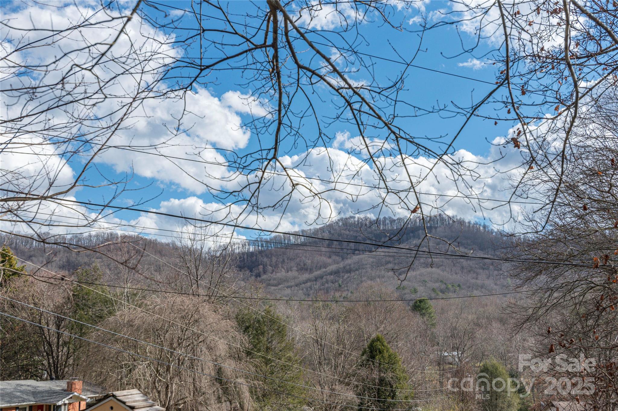103 West Long Cv Road Candler, NC 28715 - Photo 26 of 26 Gallery Image 26
