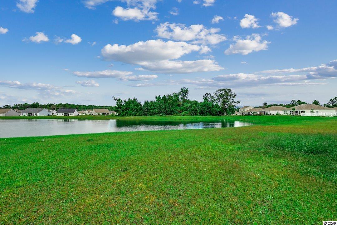 3238 Holly Loop Conway, SC 29527 - Photo 26 of 28 Gallery Image 26