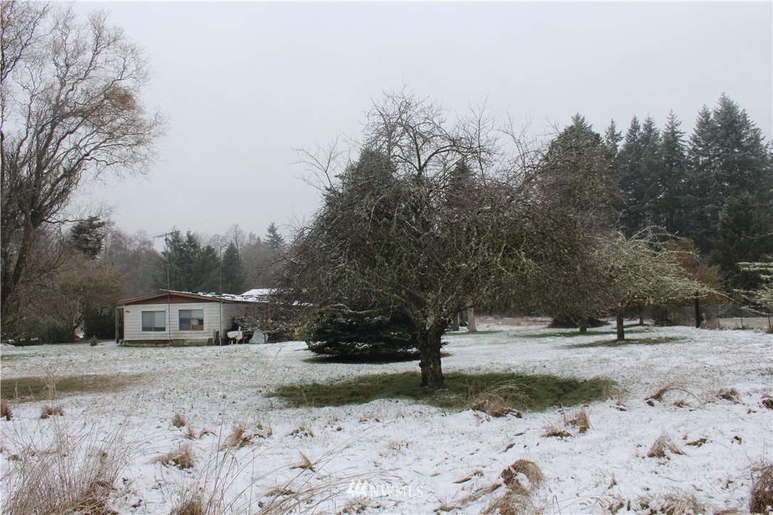 3111 Friendly Grove Road Northeast Olympia, WA 98506 - Photo 11 of 15 Gallery Image 11
