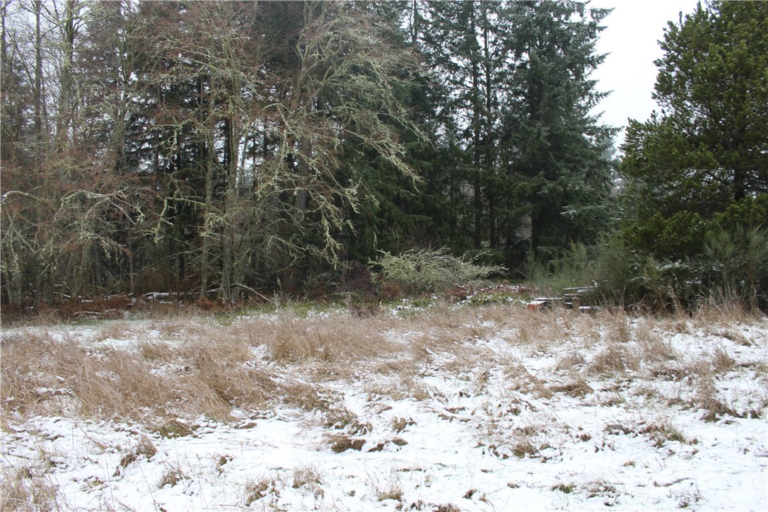 3111 Friendly Grove Road Northeast Olympia, WA 98506 - Photo 6 of 15 Gallery Image 6