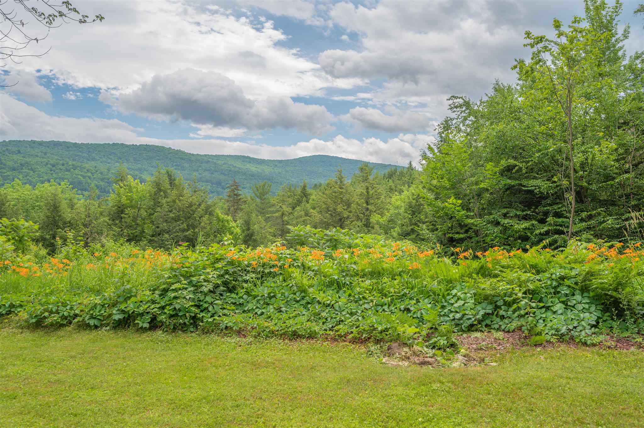 476 Chase Road Berlin, VT 05602 - Photo 3 of 34