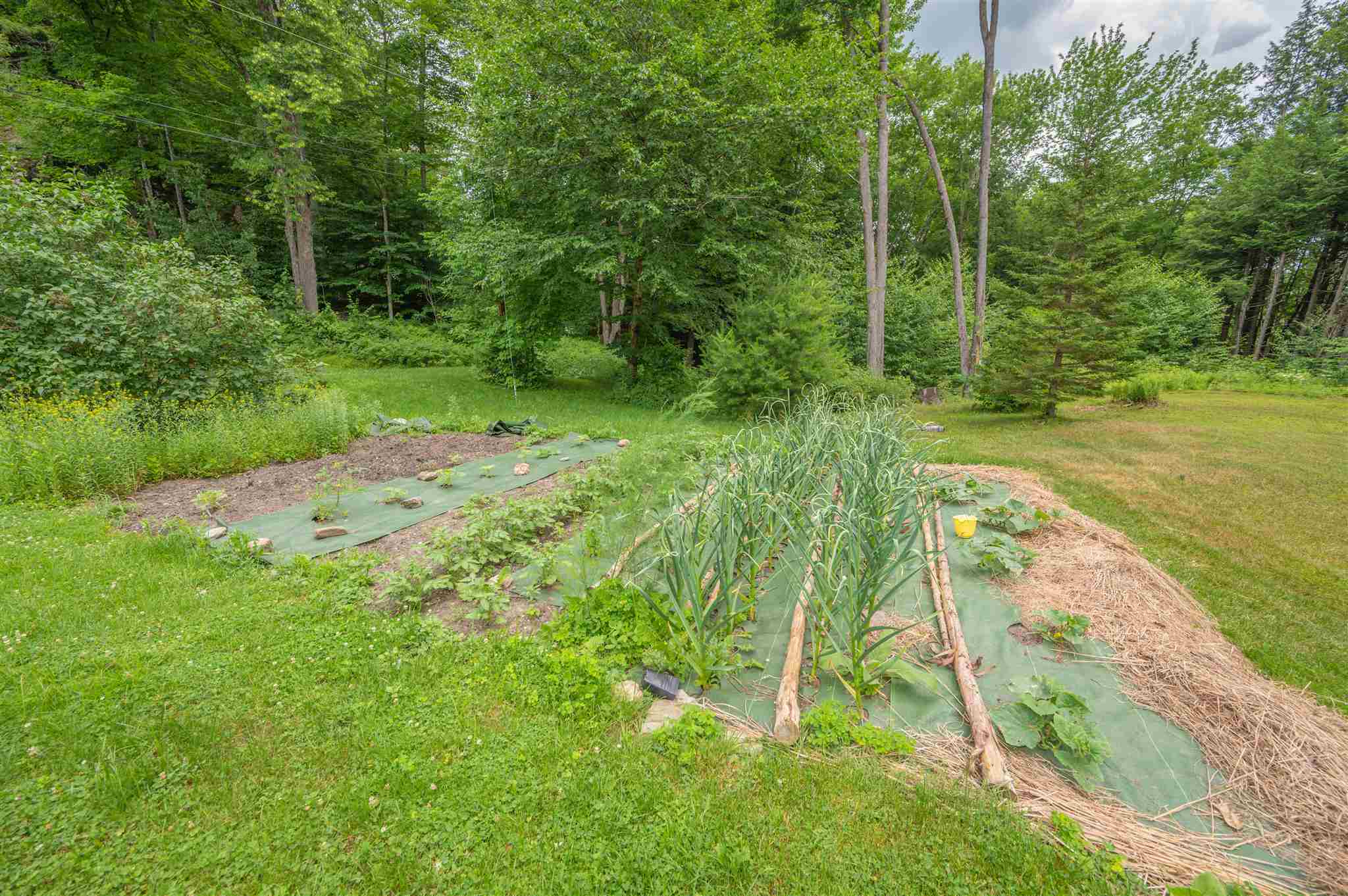 476 Chase Road Berlin, VT 05602 - Photo 31 of 34