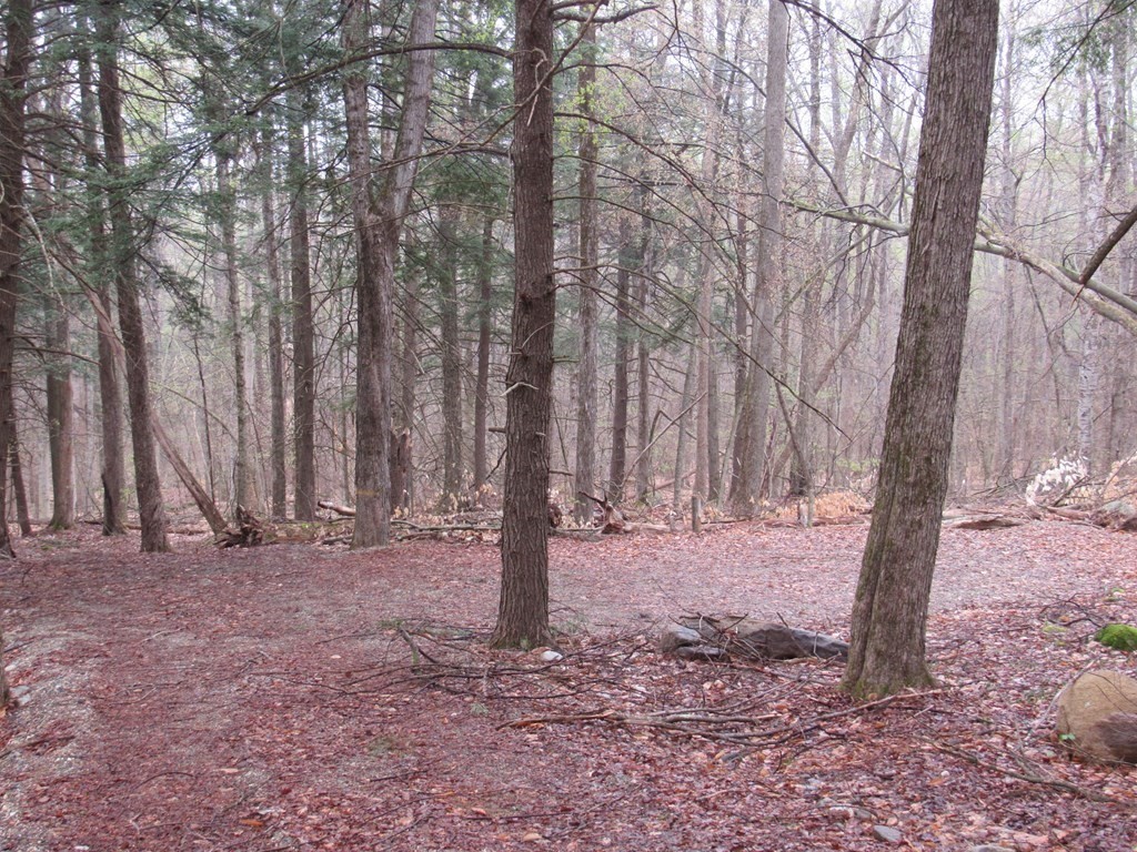 9-14 Lynes Road Chester, MA 01011 - Photo 1 of 4 Gallery Image 1