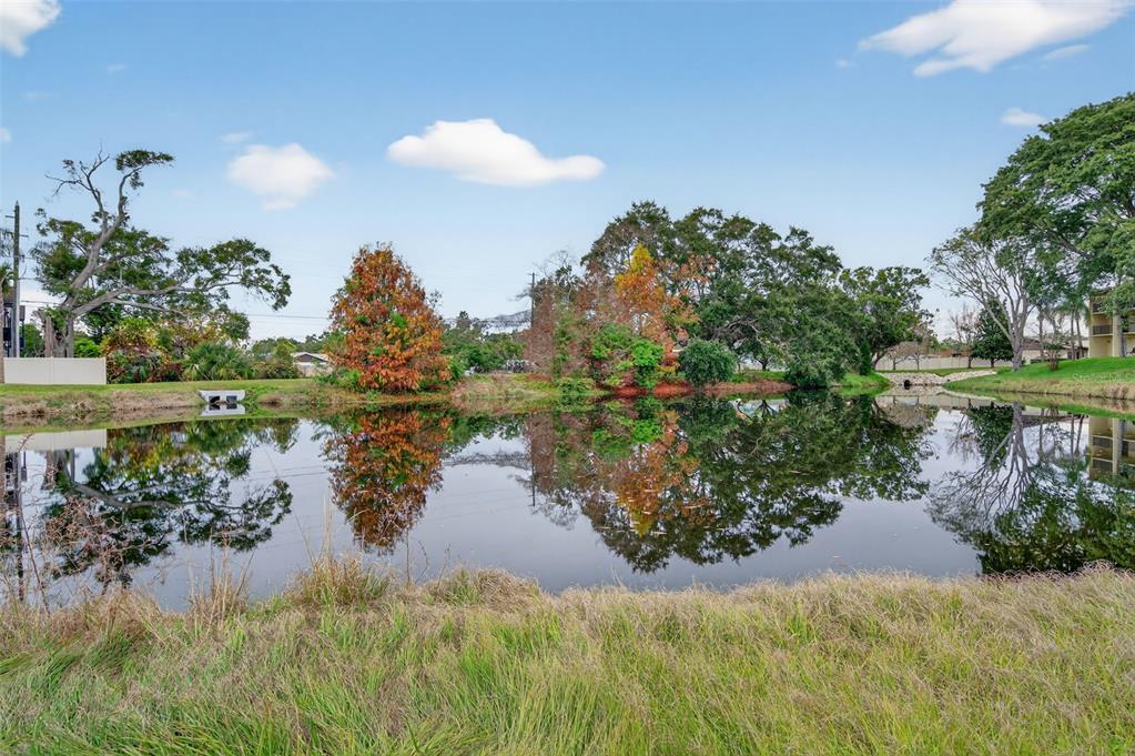 1430 Heather Ridge Boulevard, Unit 101 Dunedin, FL 34698 - Photo 36 of 44 a view of a lake with a yard and outdoor space