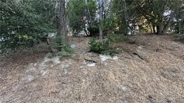 $5,900 | 0 Mid, Twin Peaks, CA 92391