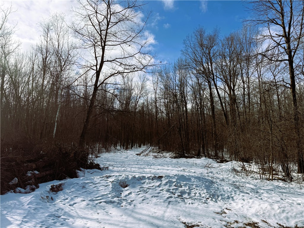96 White Birch Ridge Road Ladysmith, WI 54848 - Photo 2 of 16