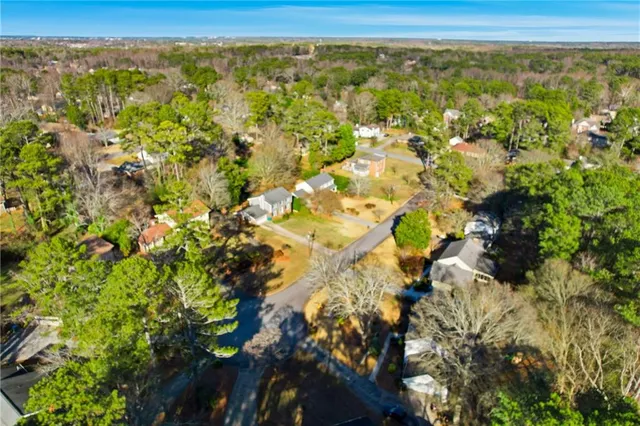 a view of a forest with a lake