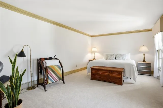 a spacious bedroom with a bed a couch and a potted plant on the dresser