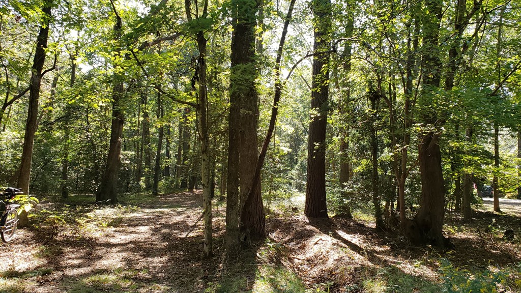 Lot 8 Wellington Neck Road, Unit 8 Franktown, VA 23354 - Photo 2 of 9