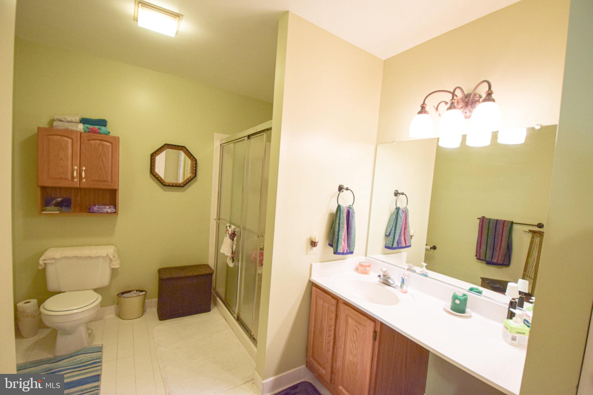 3905 Darleigh Road, Unit 1E Nottingham, MD 21236 - Photo 14 of 24 Primary Bathroom
