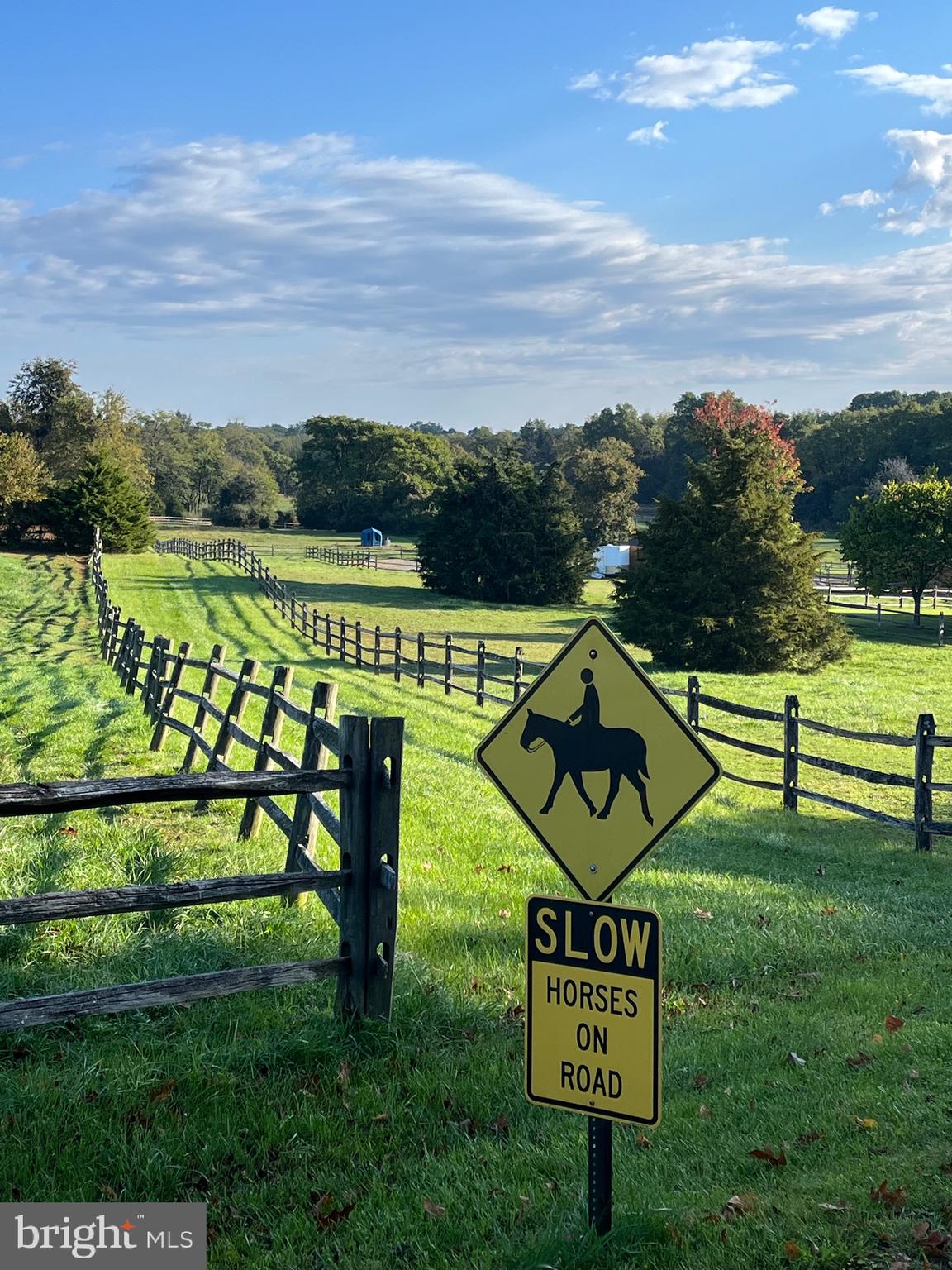 1272 Whitings Neck Road Martinsburg, WV 25404 - Photo 104 of 107