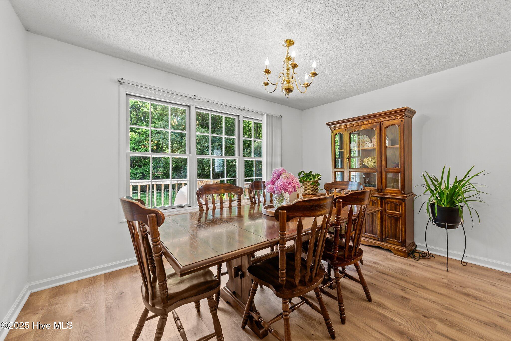 918 Circle Drive Angier, NC 27501 - Photo 23 of 43 23-web-or-mls-VB4A0504