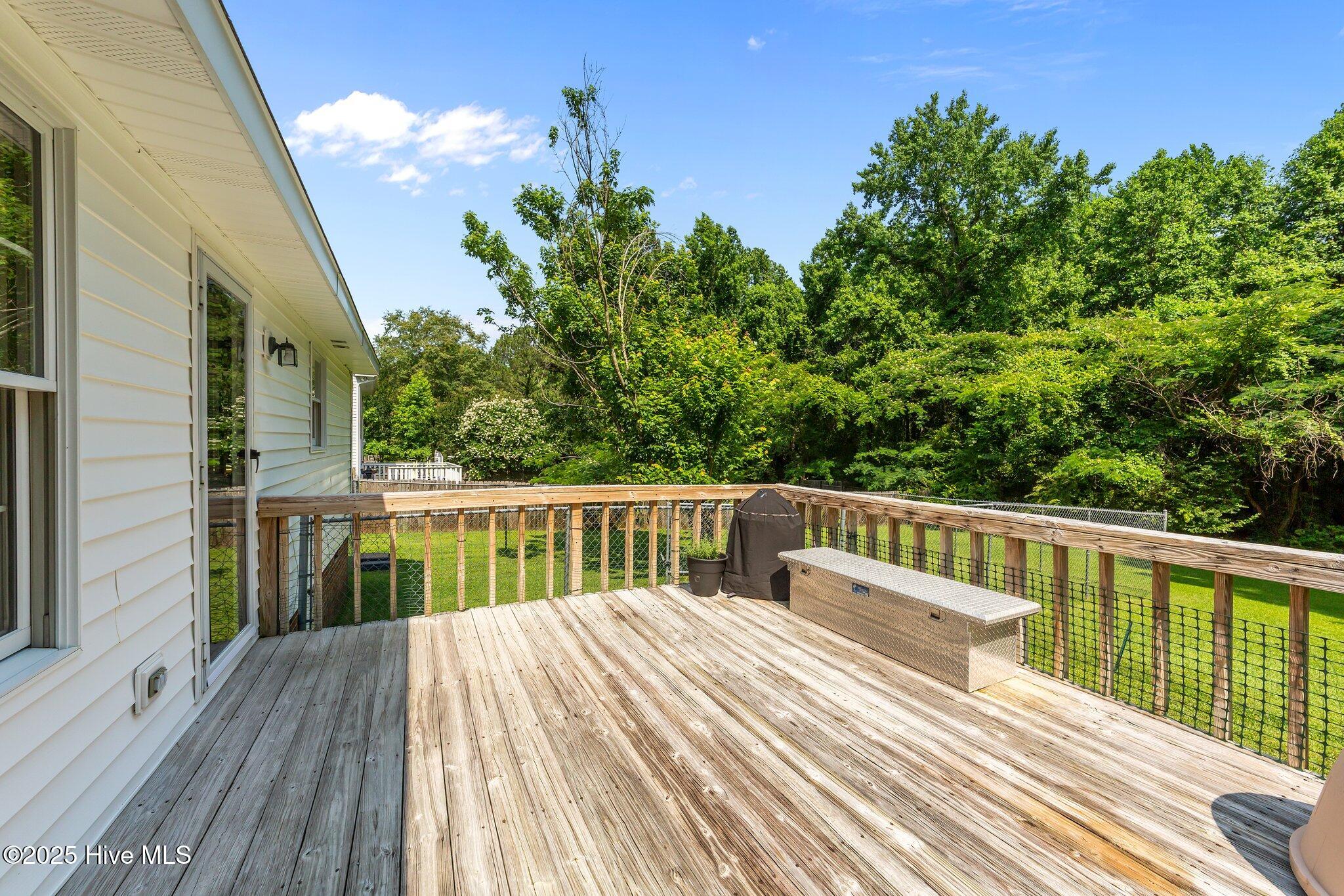 918 Circle Drive Angier, NC 27501 - Photo 37 of 43 37-web-or-mls-VB4A0593