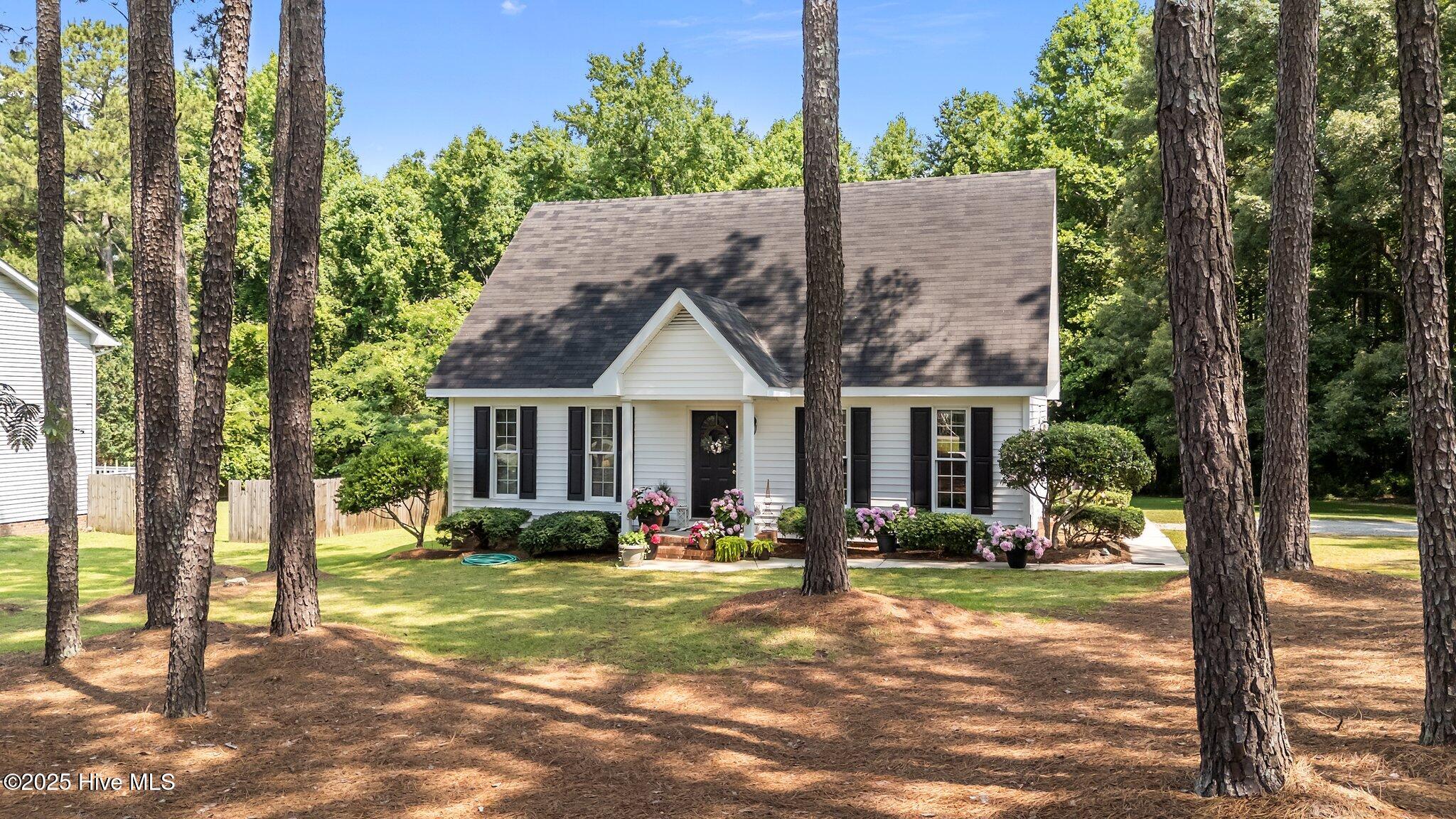 918 Circle Drive Angier, NC 27501 - Photo 6 of 43 6-web-or-mls-DJI_20250602111143_0424_D