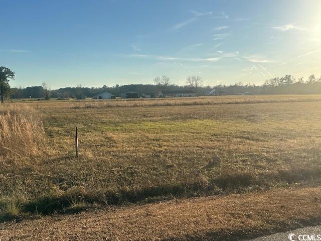 Tbd Loop Road Loris, SC 29569 - Photo 5 of 5