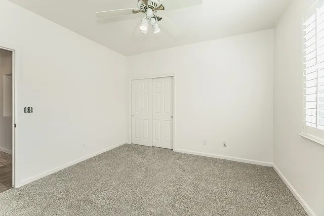 a view of a yard with plants