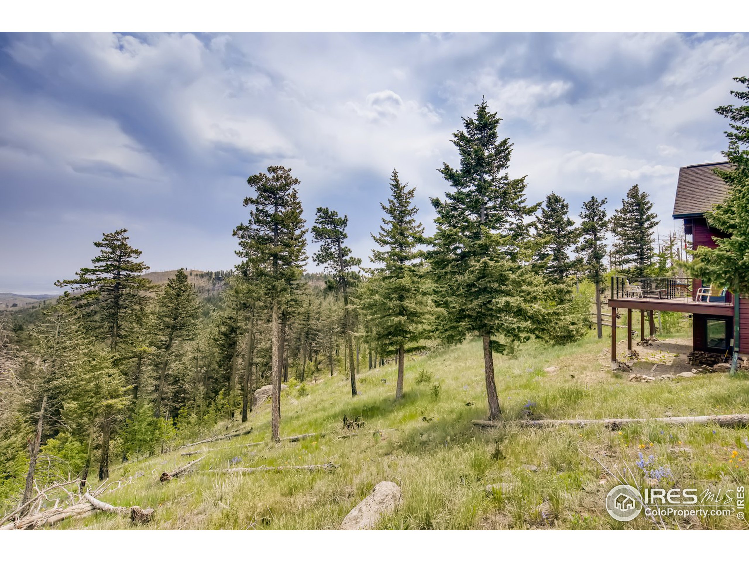 98 Rim Road Boulder, CO 80302 - Photo 26 of 31