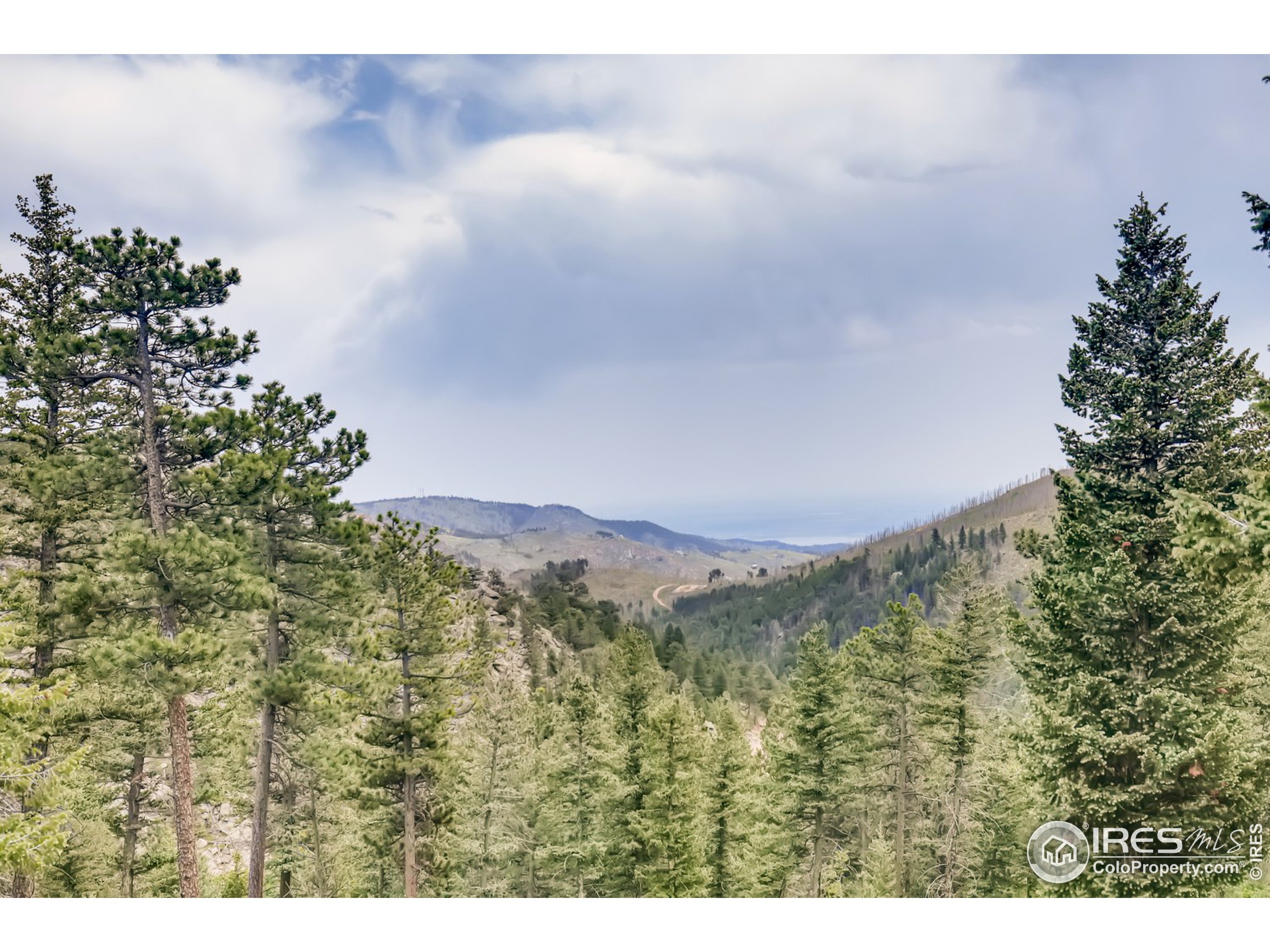 98 Rim Road Boulder, CO 80302 - Photo 28 of 31