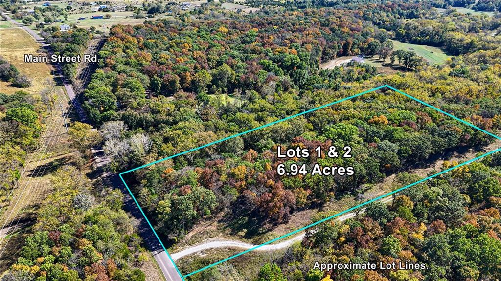 Lot 1-2 Main Street Road Sedalia, MO 65301 - Photo 4 of 6
