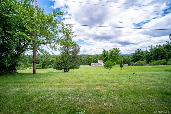 a view of field with tall trees