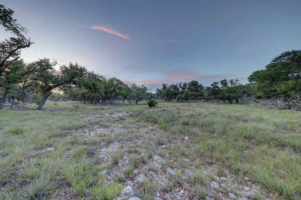 0 Stevens Ranch Road Harper, TX 78631 - Photo 18 of 31 a view of a field with trees in background
